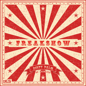 印度毛茸茸大毛B
