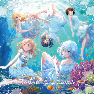 印度毛茸茸大毛B
