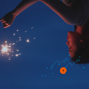 印度毛茸茸大毛B
