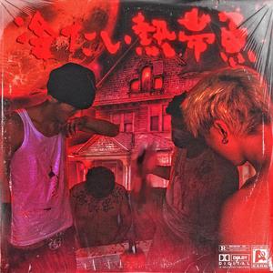 印度毛茸茸大毛B
