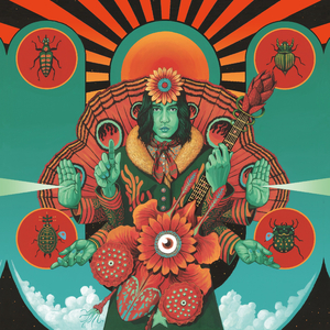 印度毛茸茸大毛B
