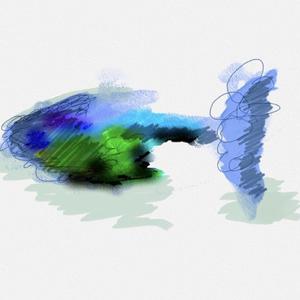 印度毛茸茸大毛B
