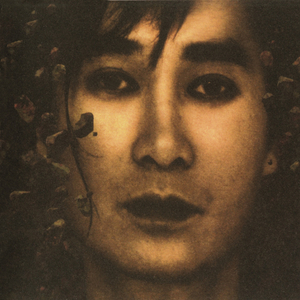 印度毛茸茸大毛B
