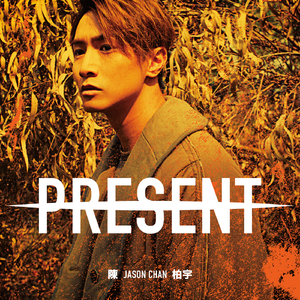 印度毛茸茸大毛B
