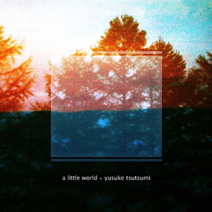 印度毛茸茸大毛B
