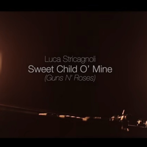 印度毛茸茸大毛B
