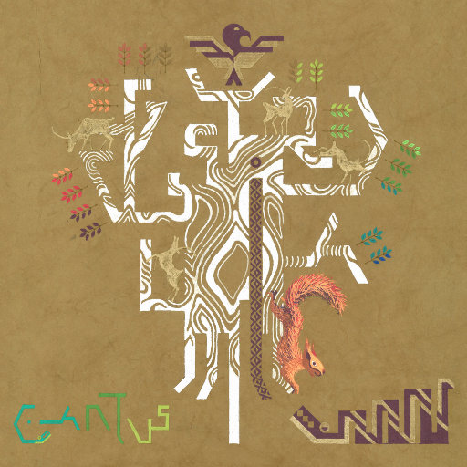 印度毛茸茸大毛B
